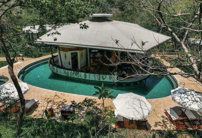 호텔 Suitree Experience