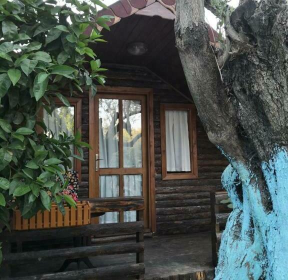 Отель Zeytindağı Bungalow