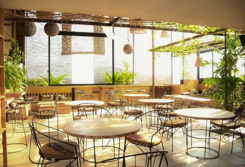 Panda Holiday Resorts