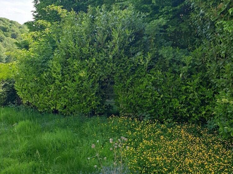 膳宿费 Au Domaine Cru