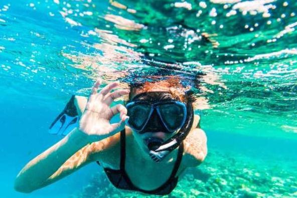 بنسيون Casa Da Rosa