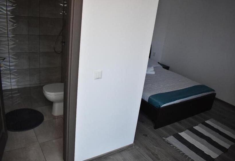 פנסיון Casa Dumitru 2