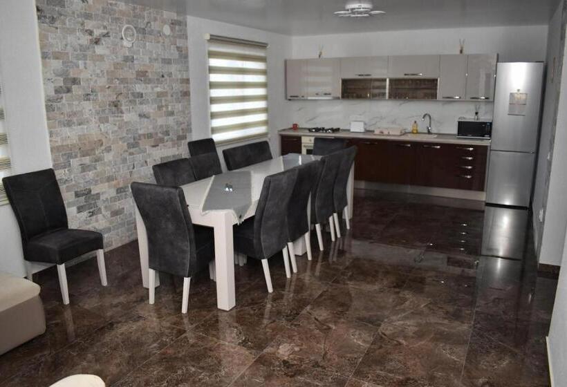 פנסיון Casa Dumitru 2