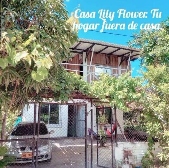 膳宿费 Casa Lily Flower