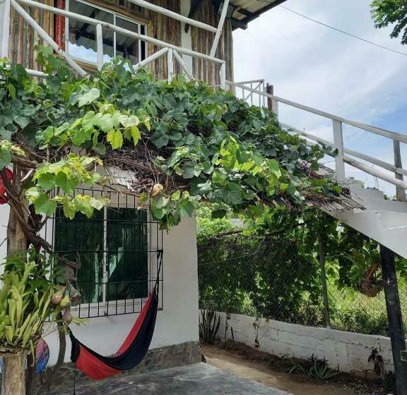 膳宿费 Casa Lily Flower