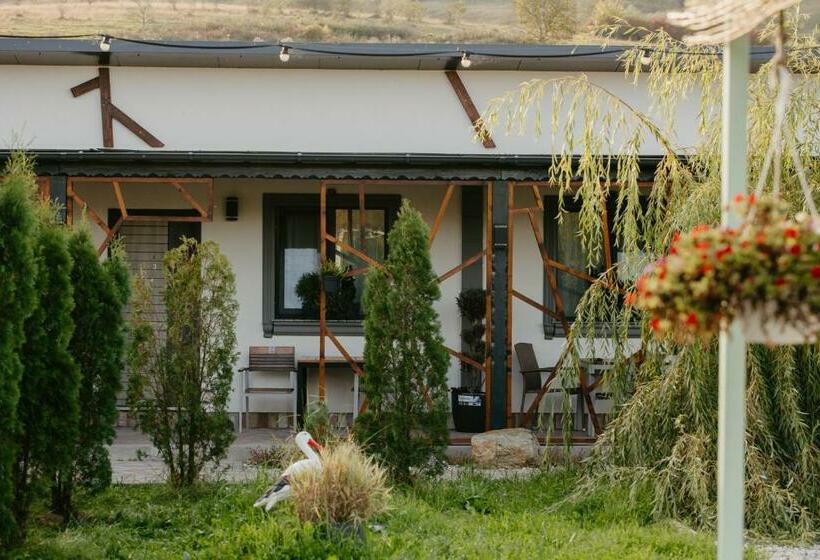 بنسيون Cazare D&g