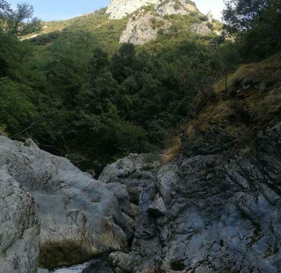 بنسيون La Konka