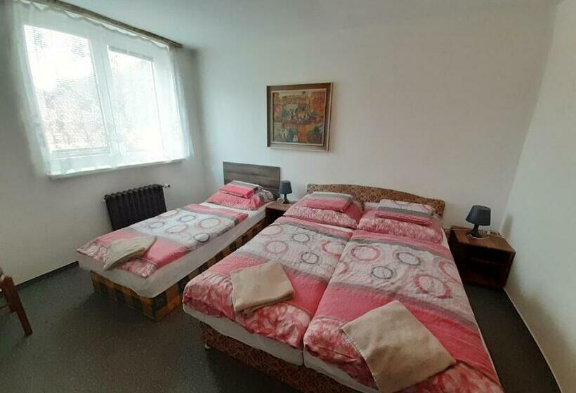 פנסיון Penzion Oráč