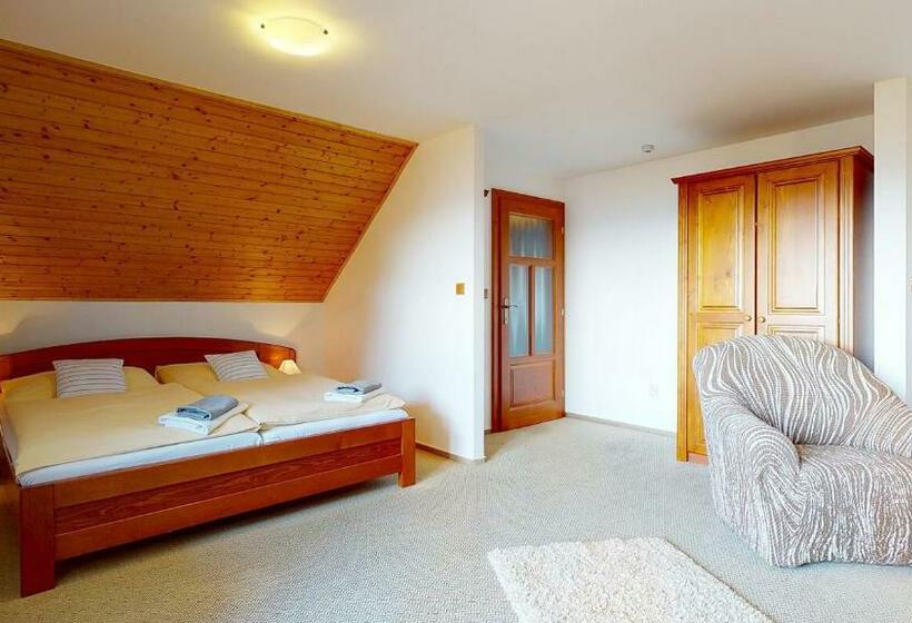 Panzió Penzion Patrik Mikulčin Vrch