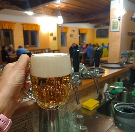 بنسيون Podveský Mlýn