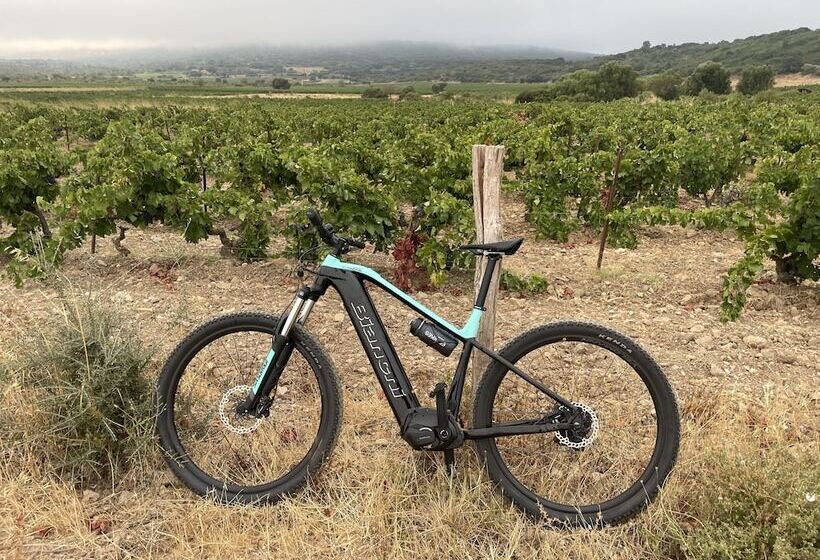 Пансион Suite 28