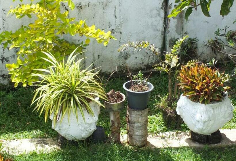 Пансион Sunshine Guest House