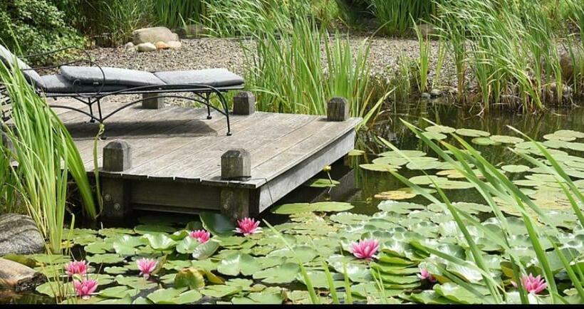 膳宿费 Ederstrand