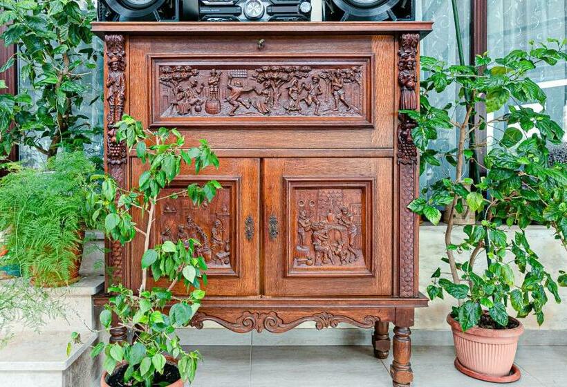 Pensiunea Casa De Vis