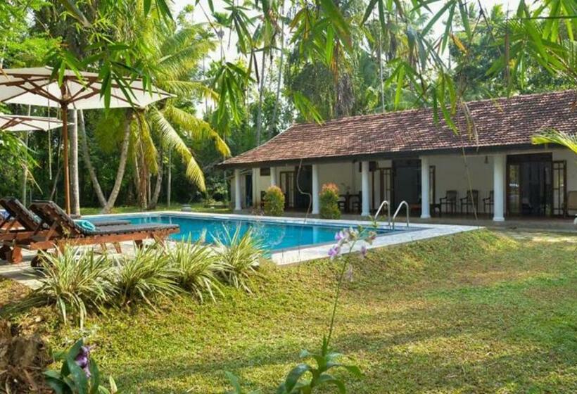 住宿加早餐  Kosgoda Boutique Villa