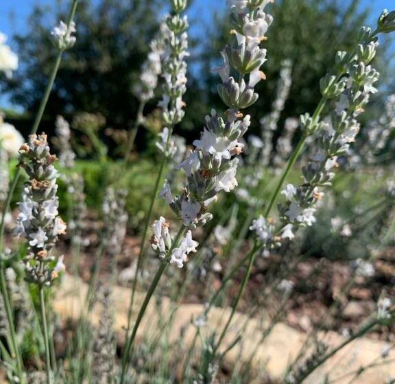 민박 Le Ch’ti Breizh Home