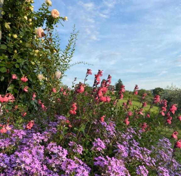 Bed and Breakfast Poderino   A Place To Feel