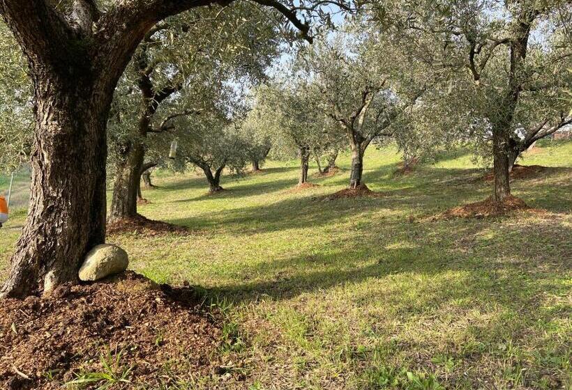 Bed and Breakfast Poderino   A Place To Feel