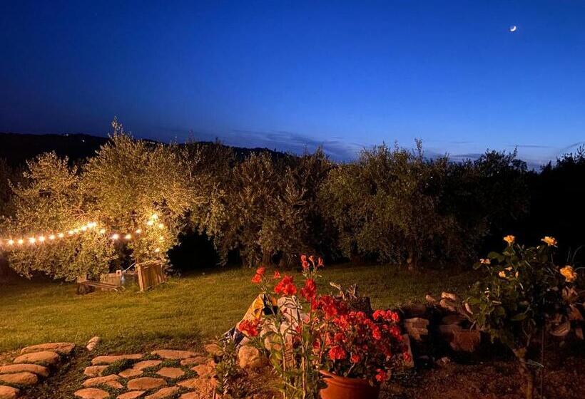 Bed and Breakfast Poderino   A Place To Feel