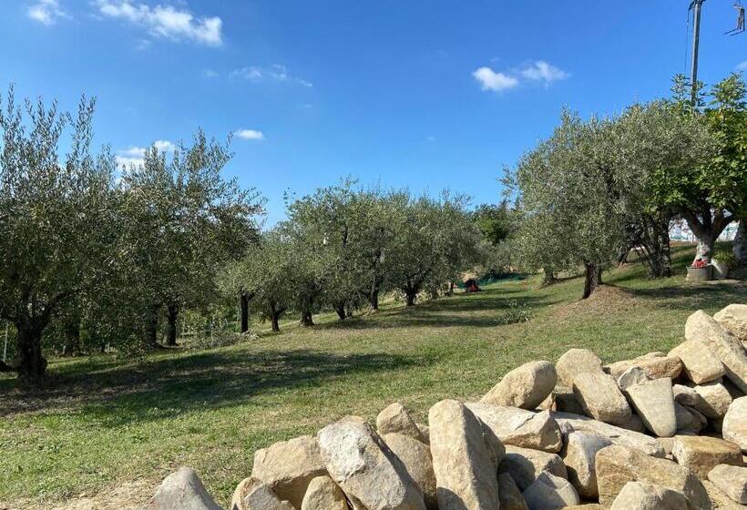 Bed and Breakfast Poderino   A Place To Feel