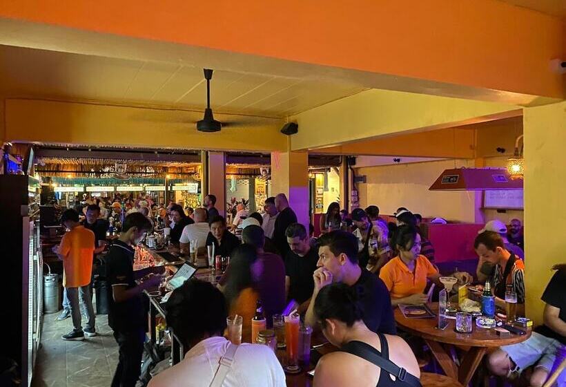 Holiday Phangan   Hostel & Bar