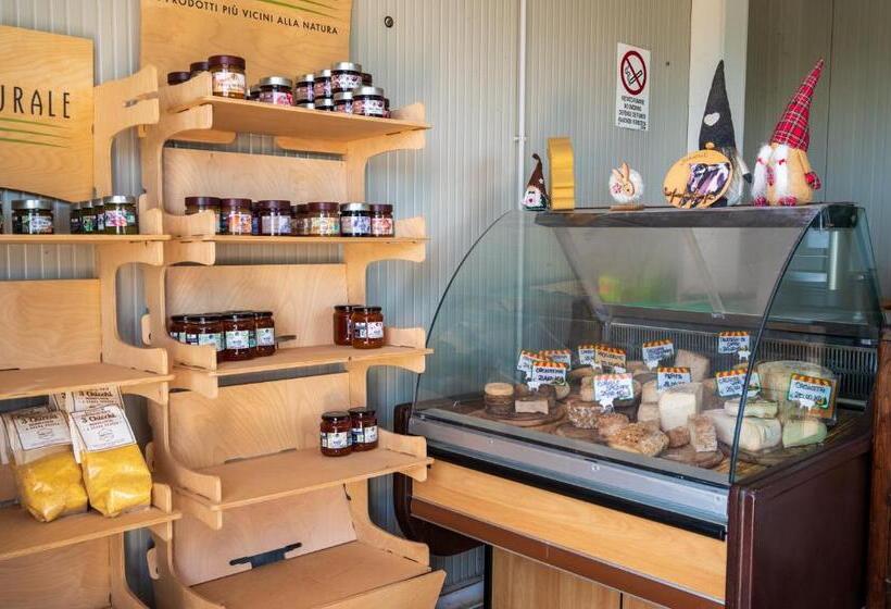 호텔 Agriturismo Why Farm