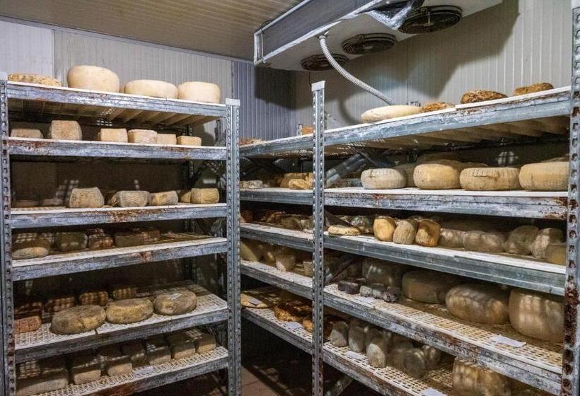 בית מלון כפרי Agriturismo Why Farm