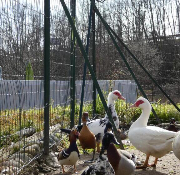 호텔 Agriturismo Why Farm