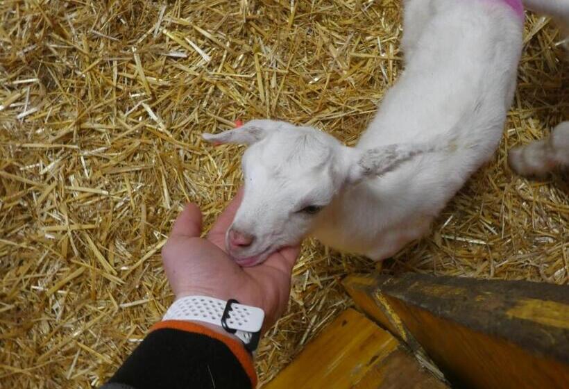 호텔 Agriturismo Why Farm