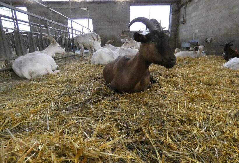 호텔 Agriturismo Why Farm