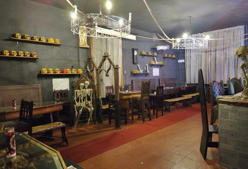 בית מלון כפרי Transilvania