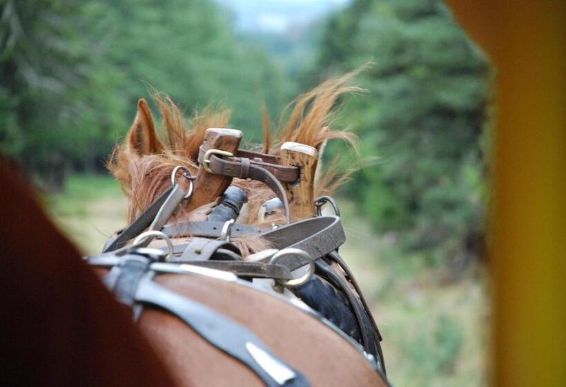모텔 Les Chalets De La Margeride