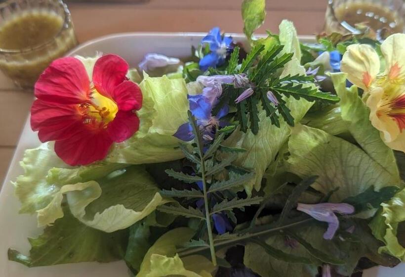 ペンション Chambre D Hôtes Privative Au Creux Du Nid