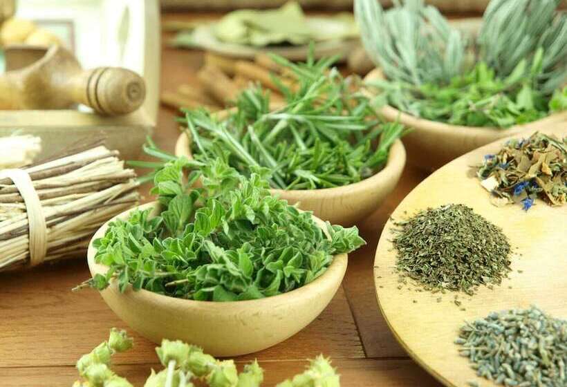 بنسيون Room In Guest Room  Room With Jacuzzi, Vacation Spa House With Turkish Bath