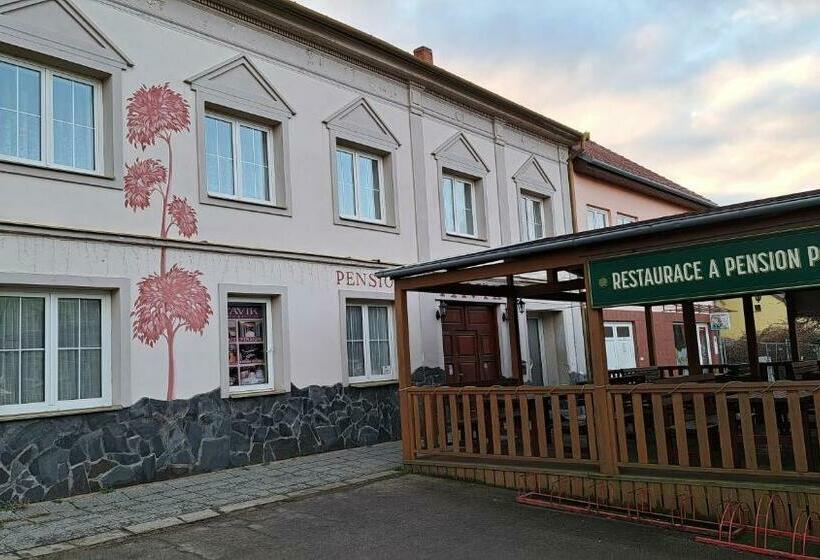 Pension Pavir