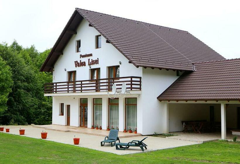Pensiunea Valea Lisei