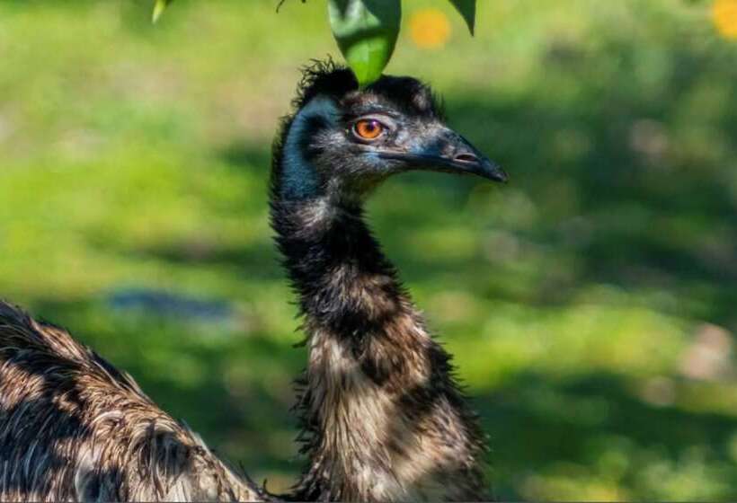 호텔 Batıhan Vadi