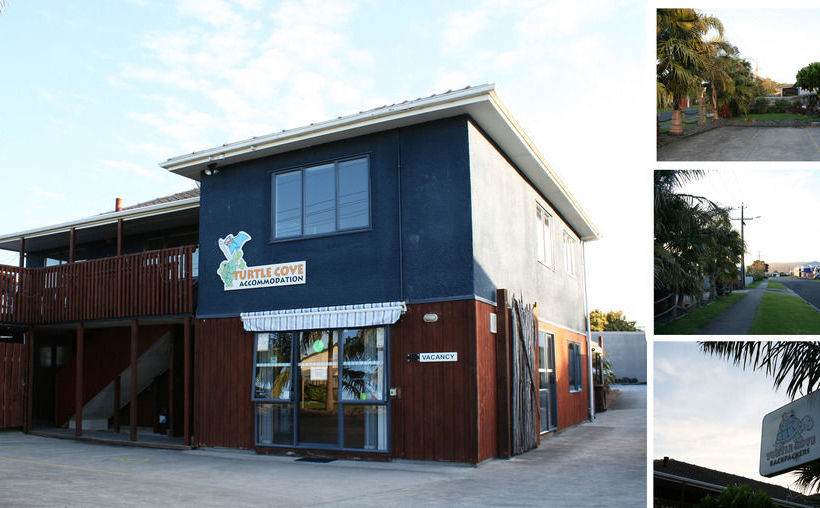 ユースホステル Turtlecove Accommodation