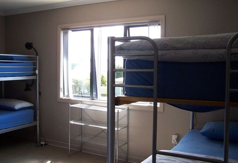 ユースホステル Turtlecove Accommodation