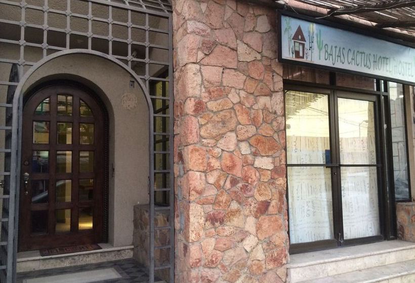 Baja S Cactus Hostel
