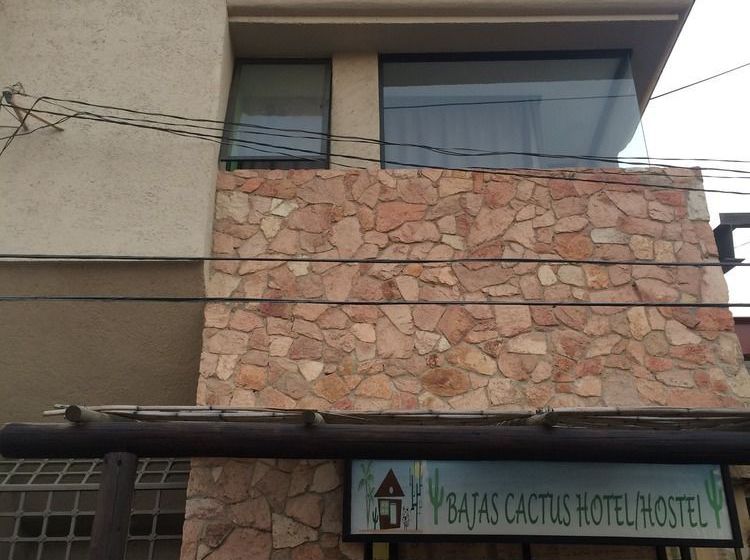 Baja S Cactus Hostel
