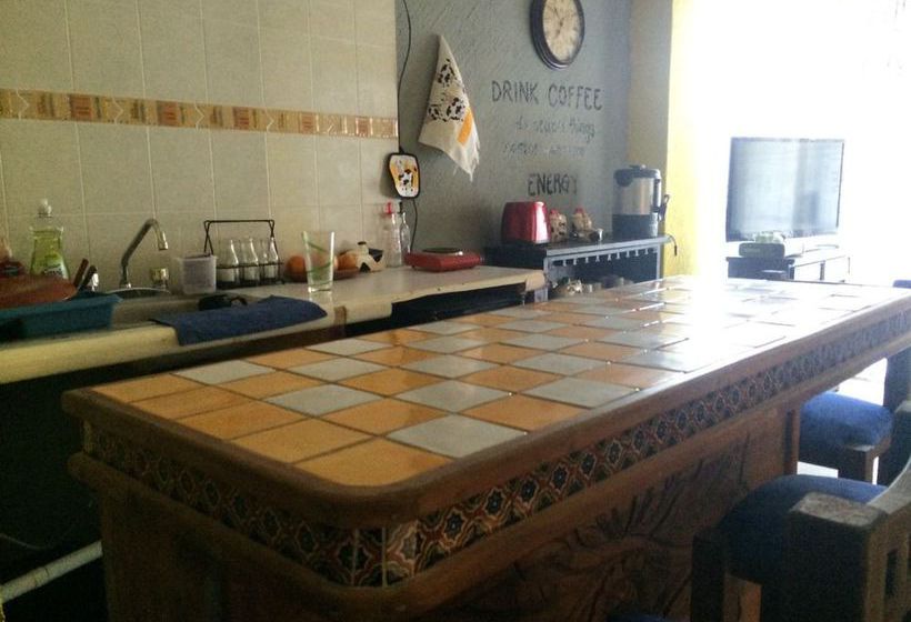 Baja S Cactus Hostel