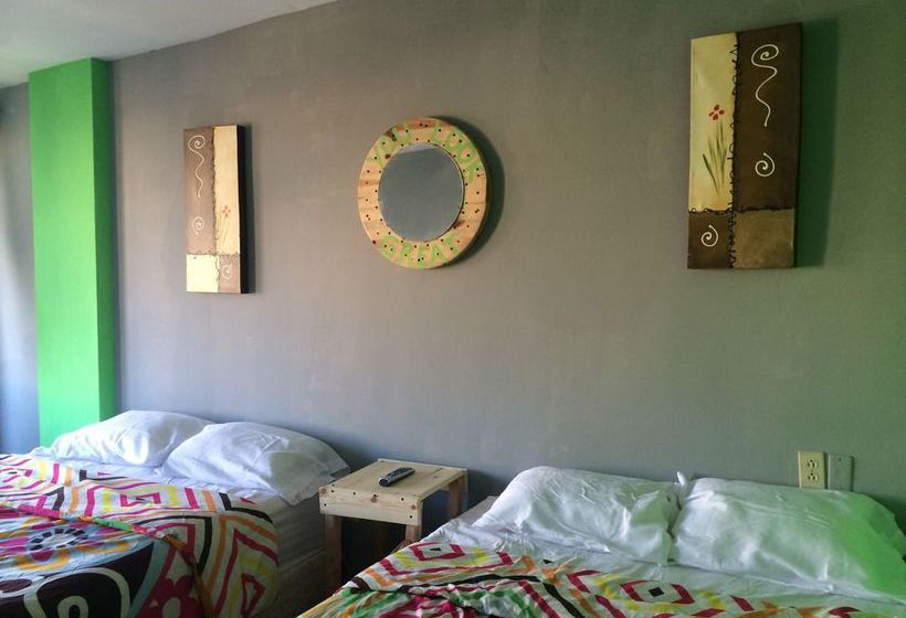 Baja S Cactus Hostel