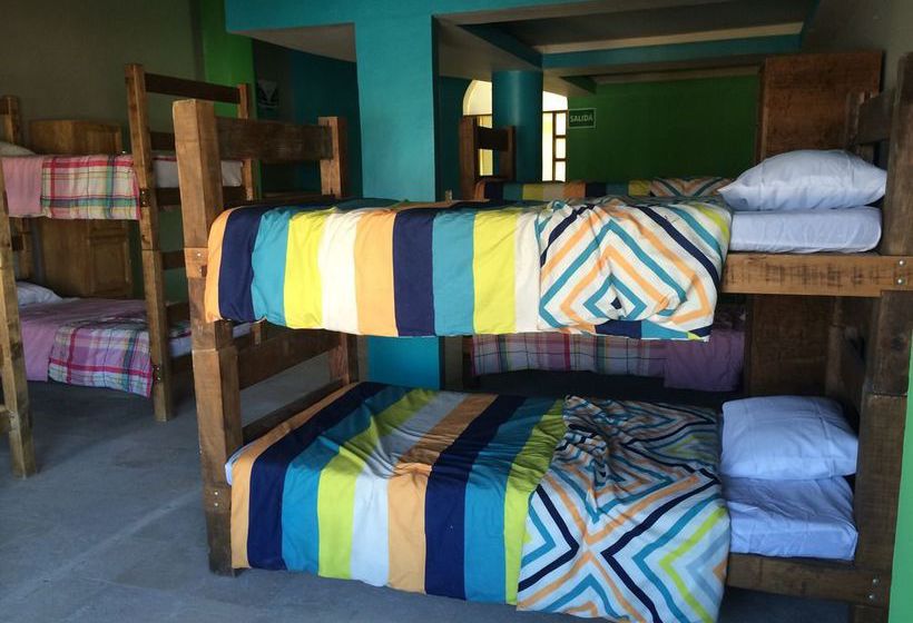 Baja S Cactus Hostel