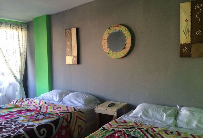 Baja S Cactus Hostel