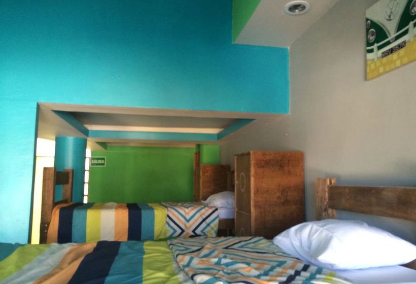 Baja S Cactus Hostel