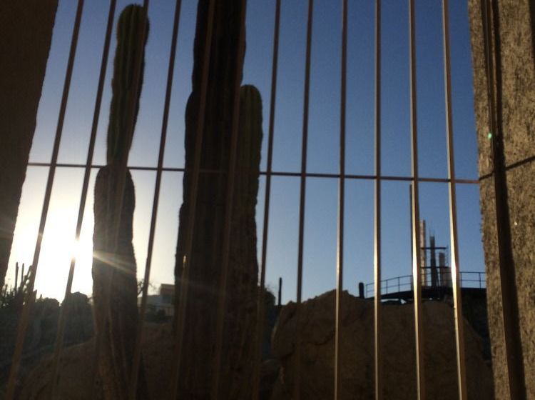 Baja S Cactus Hostel