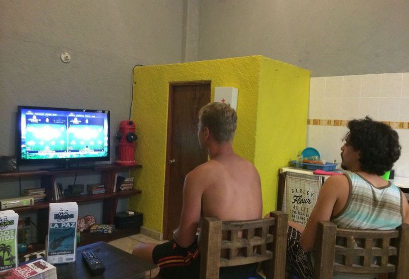 Baja S Cactus Hostel