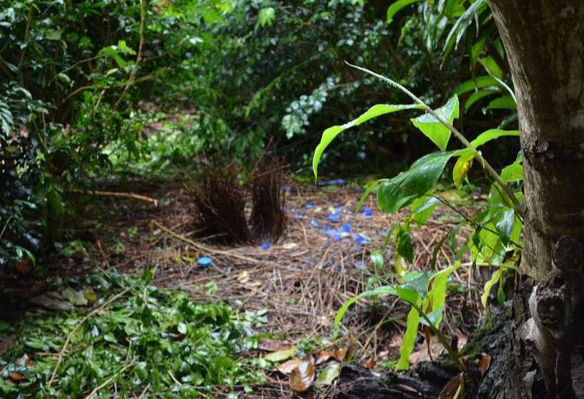 민박 Camelot Boutique Accommodation