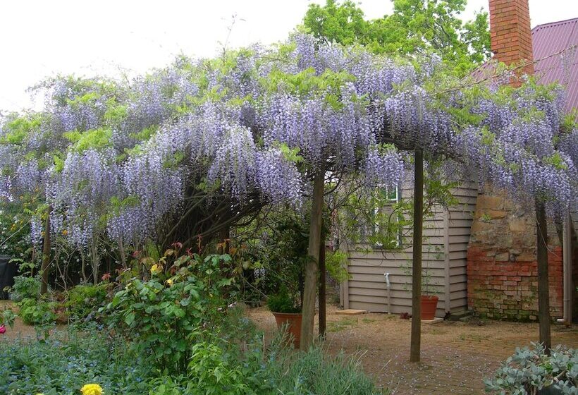 ベッドアンドブレックファースト Redcliffe House